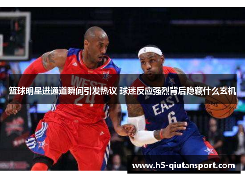 篮球明星进通道瞬间引发热议 球迷反应强烈背后隐藏什么玄机