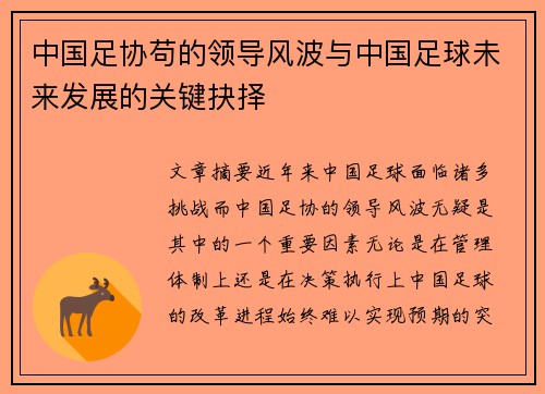 中国足协苟的领导风波与中国足球未来发展的关键抉择