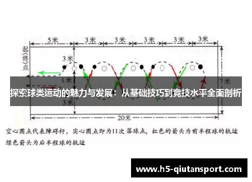 探索球类运动的魅力与发展：从基础技巧到竞技水平全面剖析