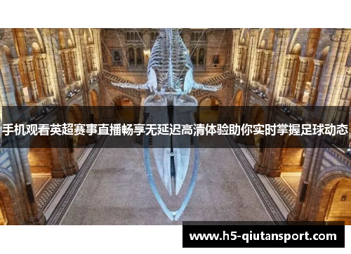 手机观看英超赛事直播畅享无延迟高清体验助你实时掌握足球动态