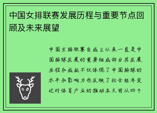 中国女排联赛发展历程与重要节点回顾及未来展望