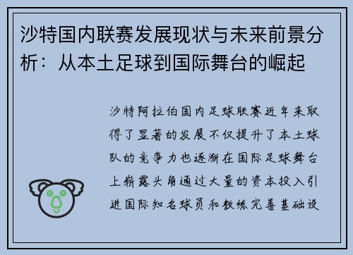 沙特国内联赛发展现状与未来前景分析：从本土足球到国际舞台的崛起