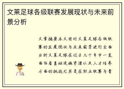 文莱足球各级联赛发展现状与未来前景分析